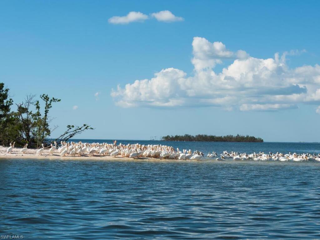 Appartamento Marina Getaway On The Water! North North Naples Esterno foto