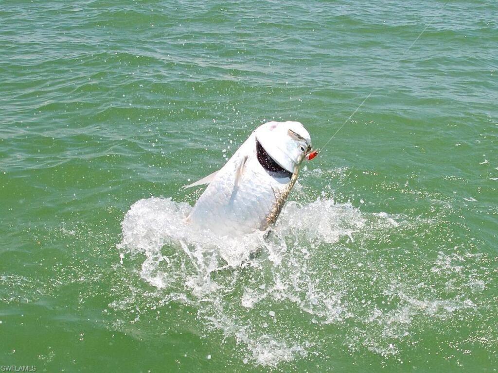 Appartamento Marina Getaway On The Water! North North Naples Esterno foto